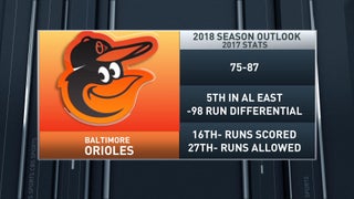 In Depth: Baltimore Orioles - All Seasons Wild Bird Store