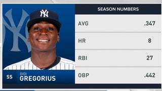 Didi Gregorius has 2 homers, 8 RBIs in Yankees rout of Rays - The