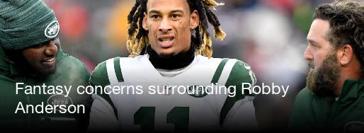 Image result for robby anderson