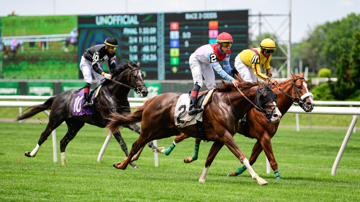 Prince of Wales’s Stakes 2024 predictions, horses, odds, date: Royal Ascot picks by horse racing insider