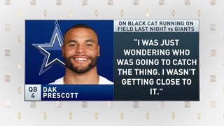 Football cat: Viral black cat from Monday Night Football still on the loose  at MetLife Stadium - CBS News