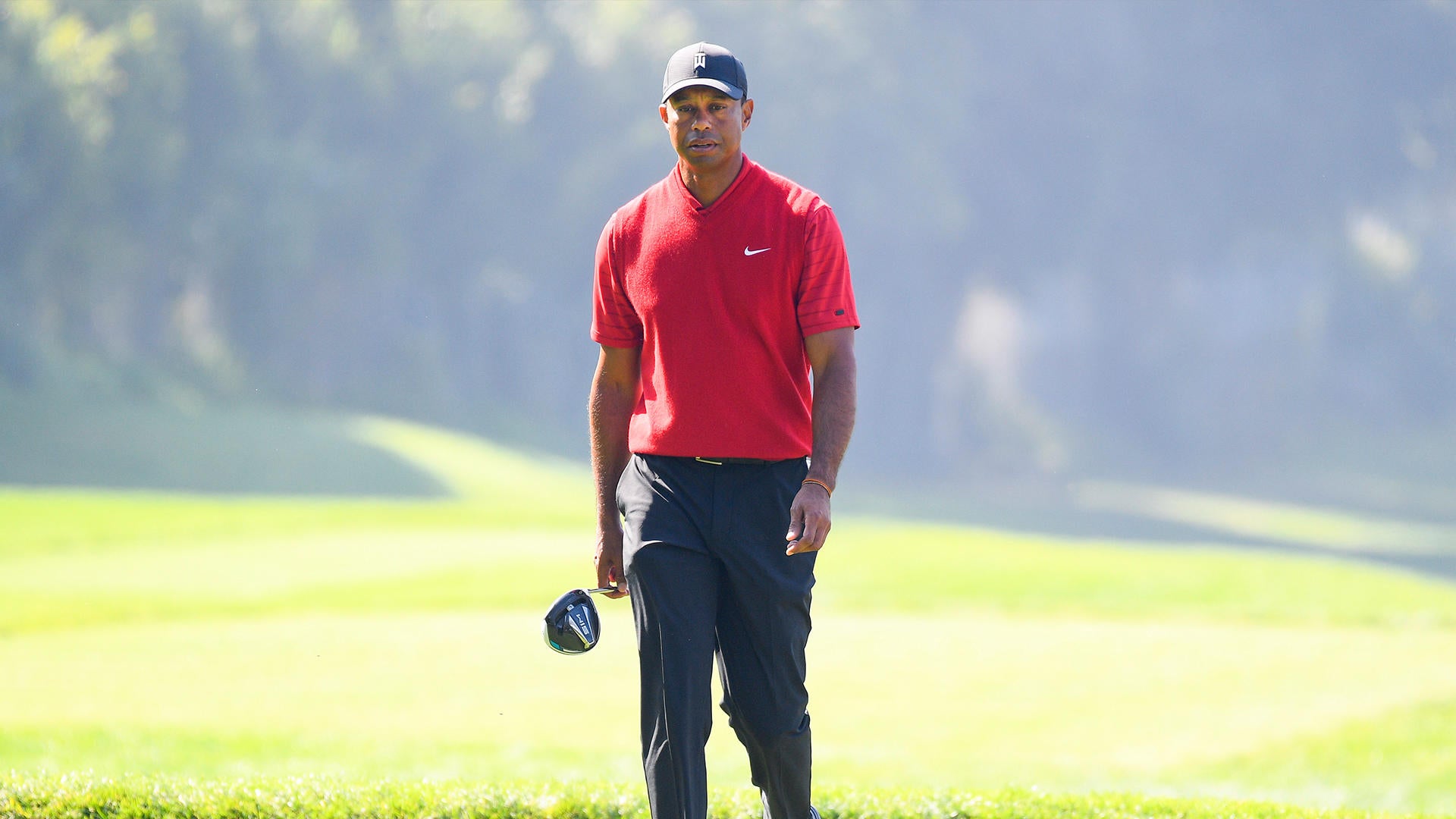 Watch torrey pines golf live