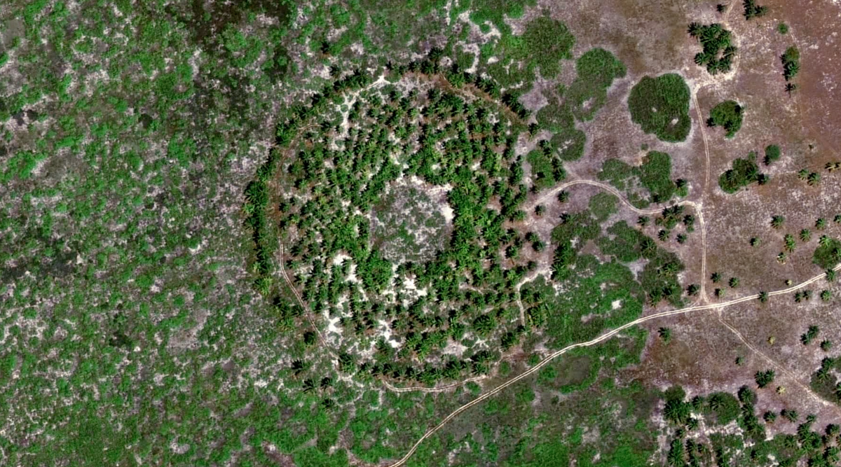 'What on Earth?' Debuts New Season on Science Channel