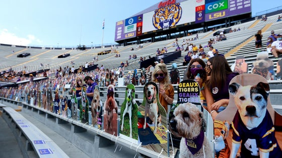 tiger-stadium-cutouts-empty-g.jpg