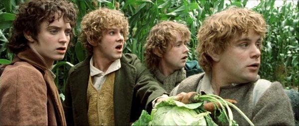 Aubergine Allergie Reductor Lord of the Rings: The Fellowship of the Ring Gets the Cinema Sins Treatment