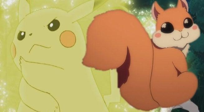 Squirrel | Anime-Planet