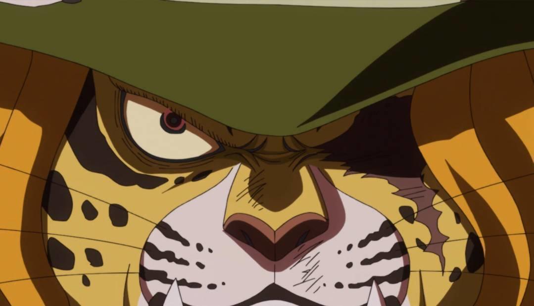 One Piece Preview Bodes Ominously For One Straw Hat Ally