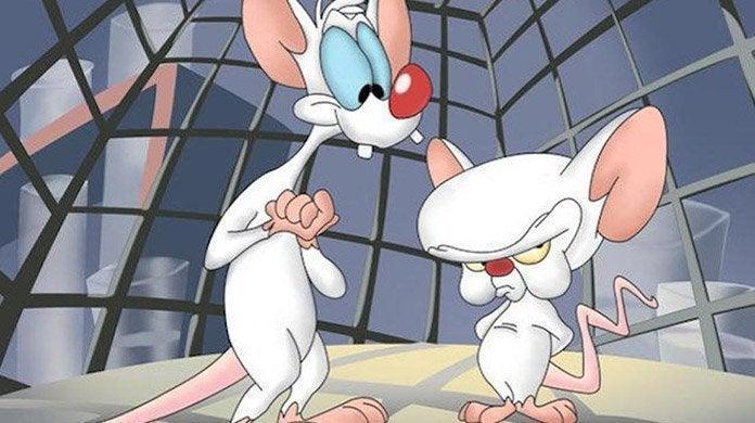 pinky-and-the-brain-1164714