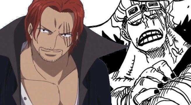 One Piece' Reveals How One Pirate Lost Their Arm