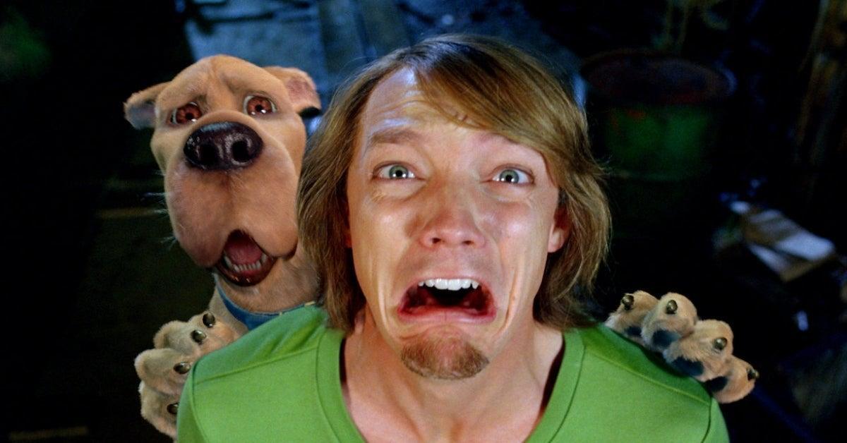 Scooby-Doo: Shaggy Actor Matthew Lillard Says No Third Live-Action Movie