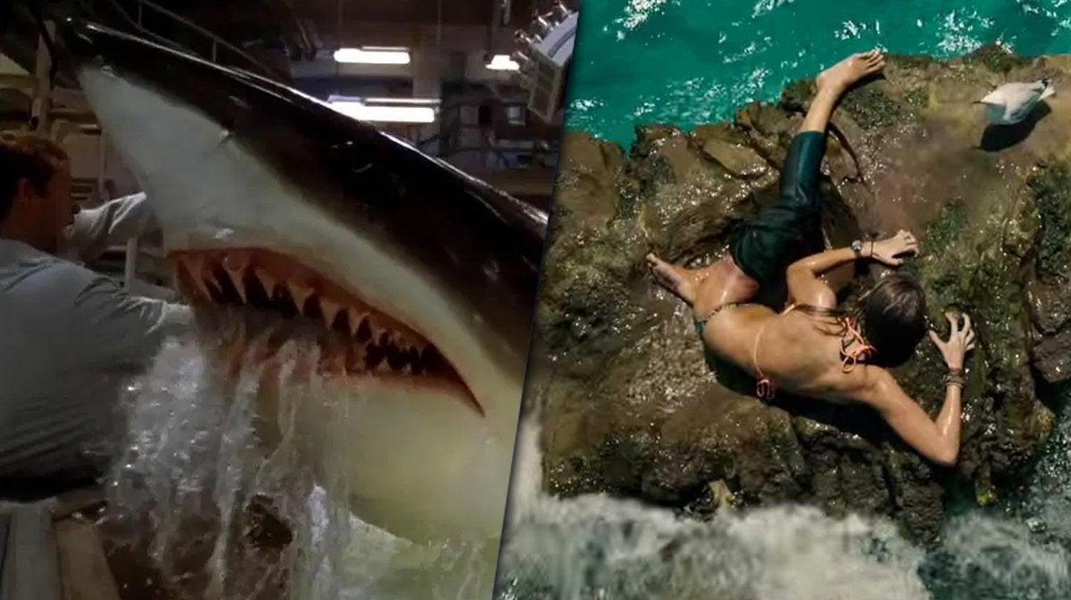 Shark Expert Busts Most Ridiculous Horror Movie Myths