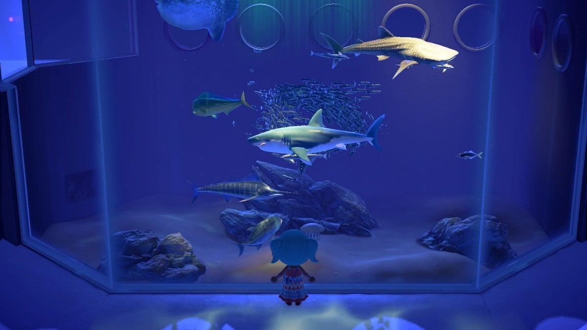 Stringfish, Animal Crossing Wiki