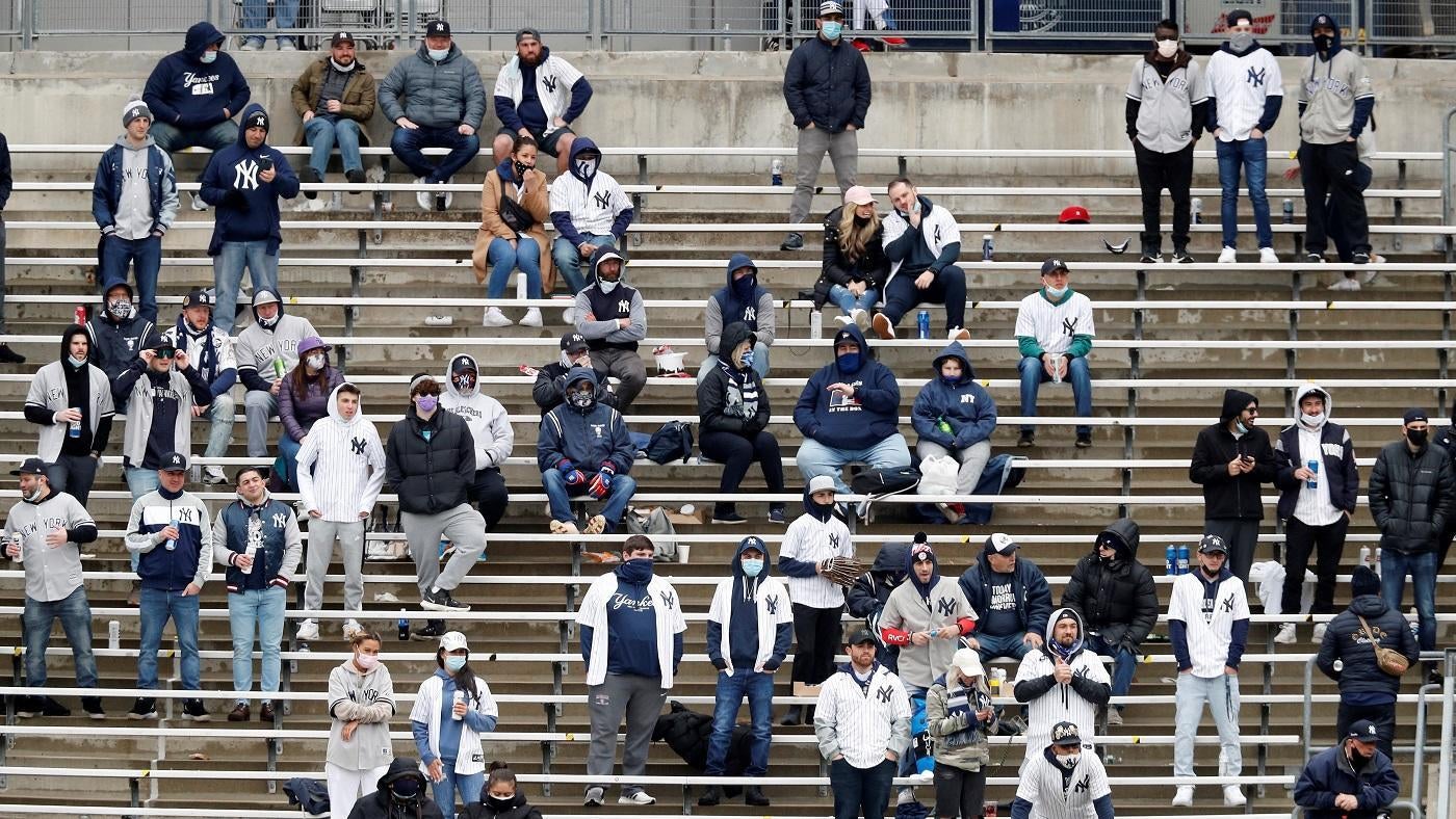 New York Yankees Fans Yankee Stadium