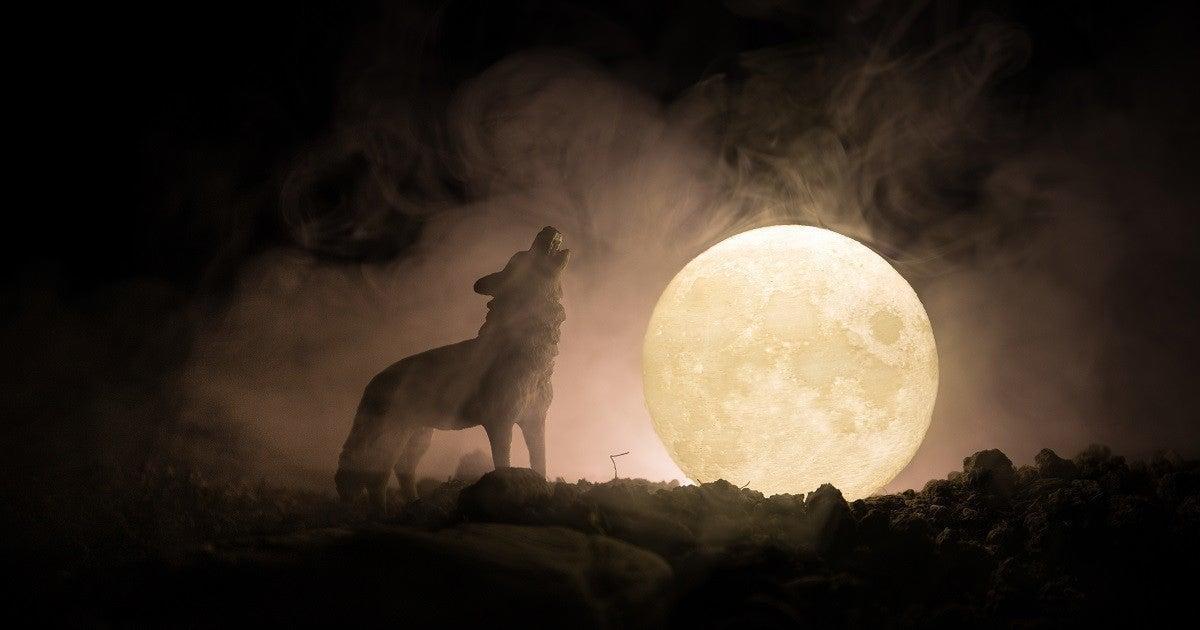 werewolf-getty-20105356