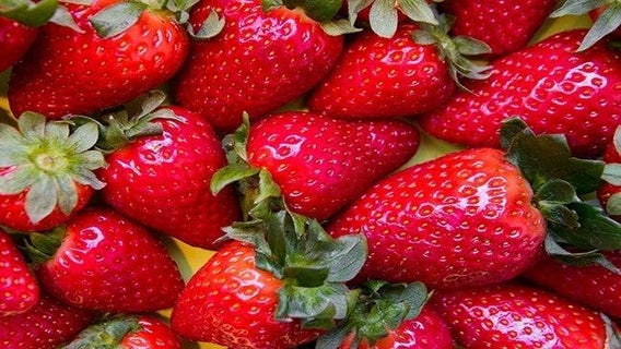 strawberries-20044169