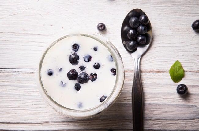 yogurt-blueberries-20044133