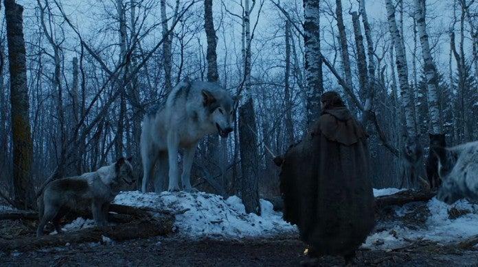 game-of-thrones-nymeria-hbo-yt-20060191