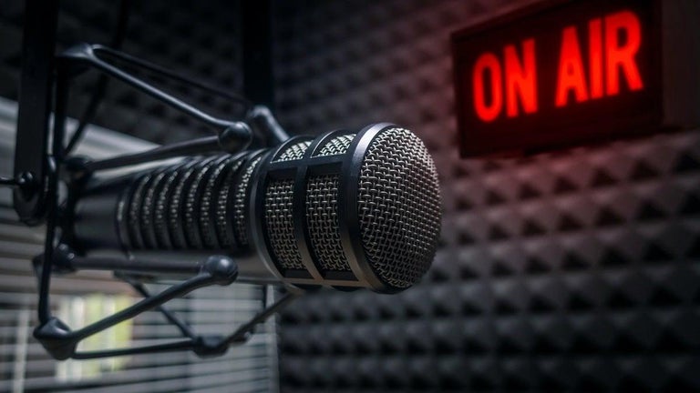 Radio Host Admits to DUI Following Arrest, Calls It 'an Egregious Error'