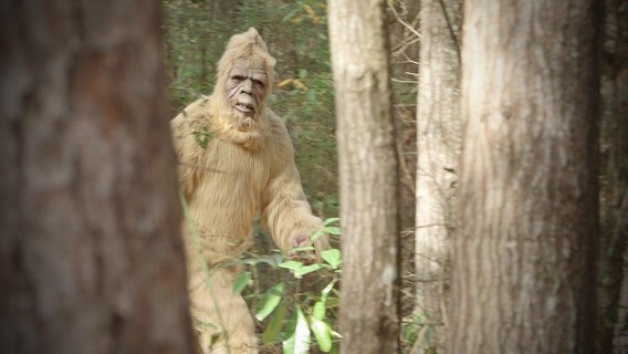 bigfoot-getty-images-20107726