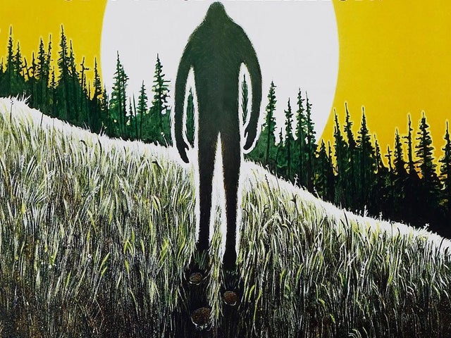 TikToker Goes Missing After Video of 'Giant' or Bigfoot on Mountain