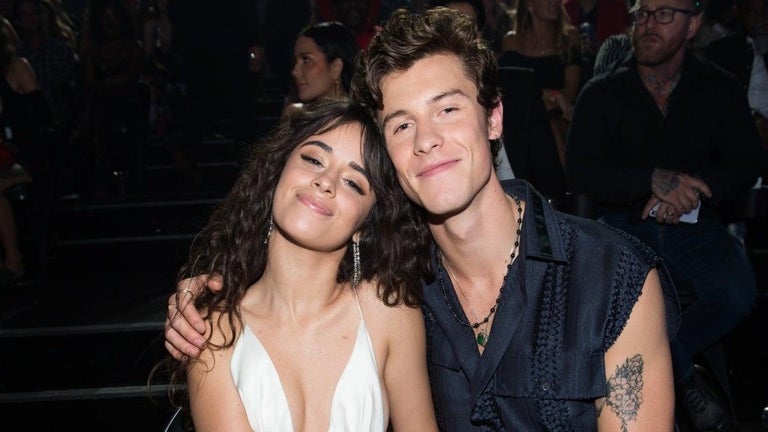 Camila Cabello and Shawn Mendes Spotted Together Months After Split