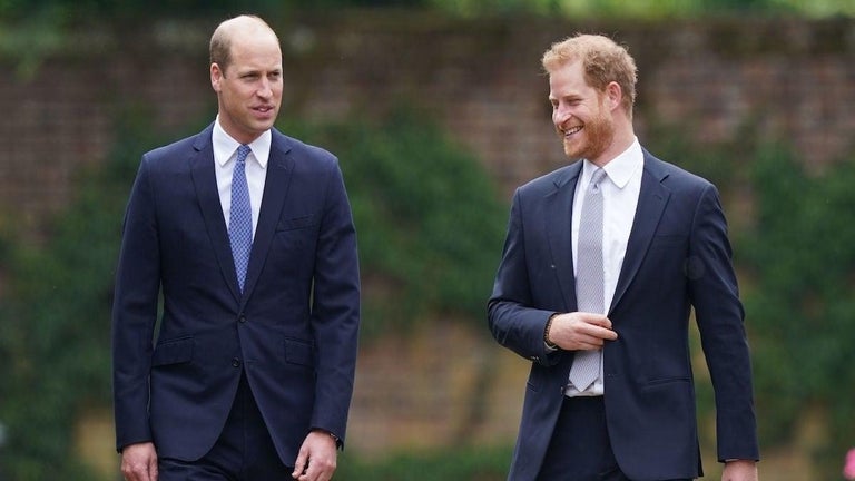 Prince Harry and William Documentary Receives Massive Backlash, Hundreds of Complaints Filed