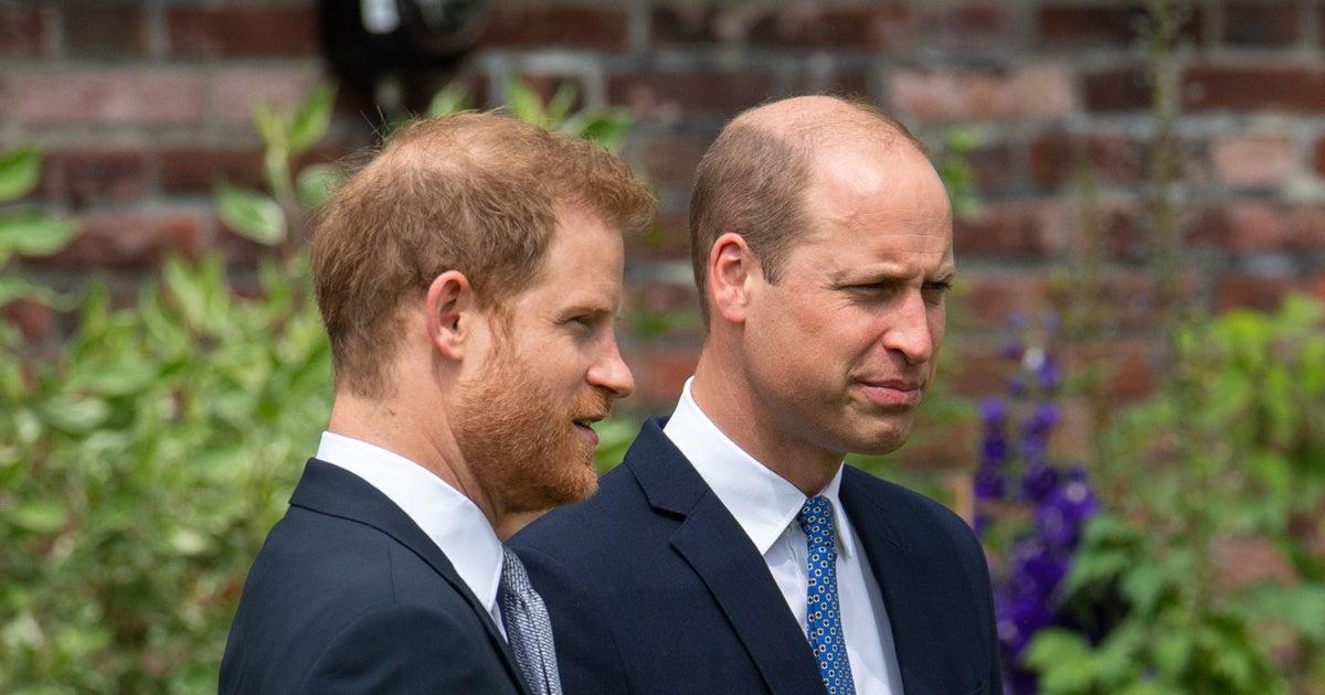 british-royal-family-prince-harry-prince-william-20110276