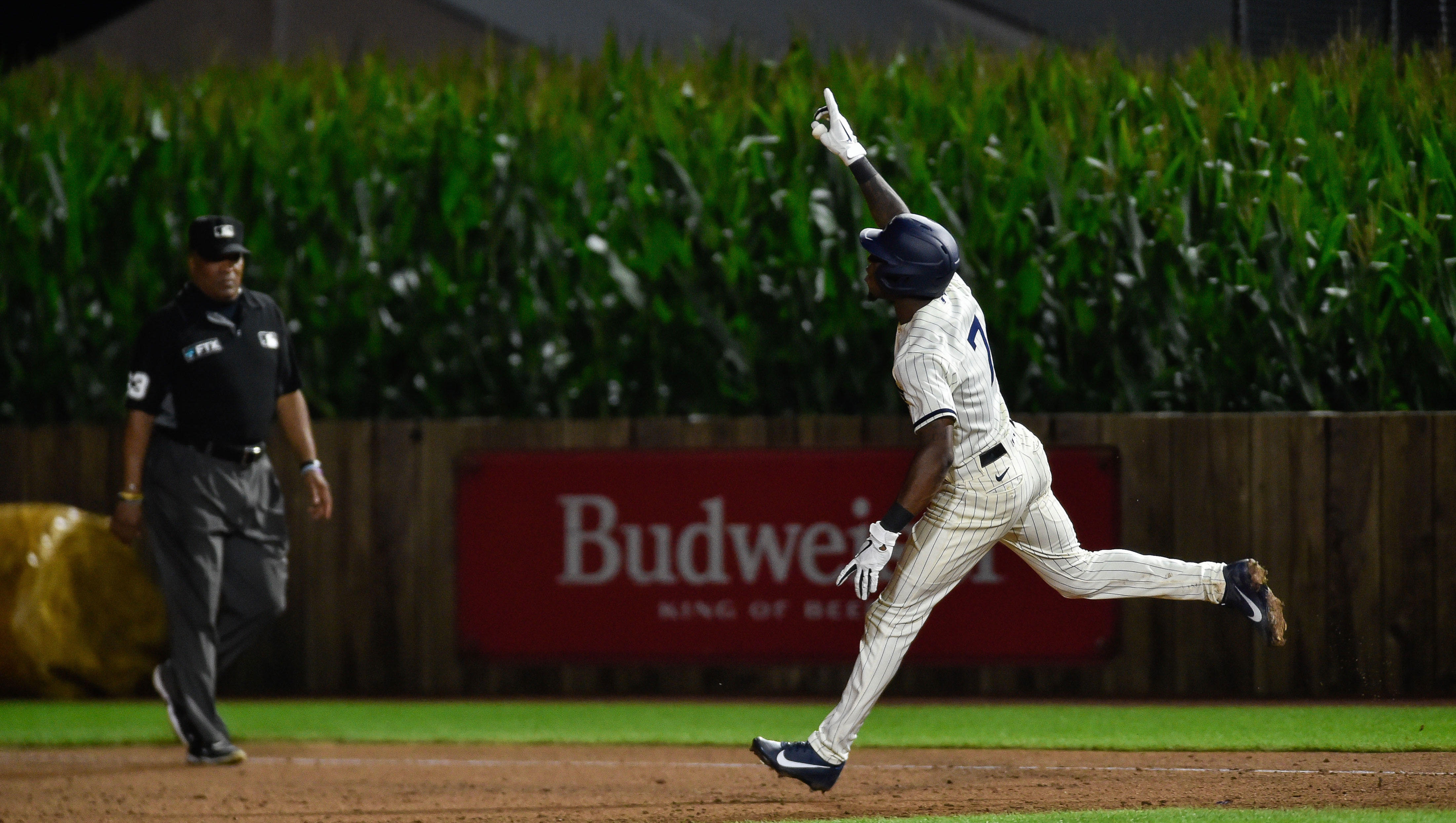 tim-anderson.jpg