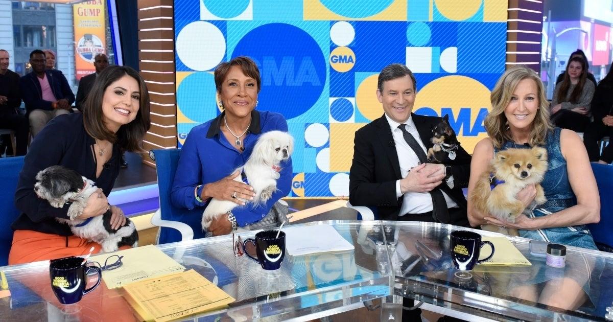 Good Morning America' weekend shows move to TV3 - NewscastStudio