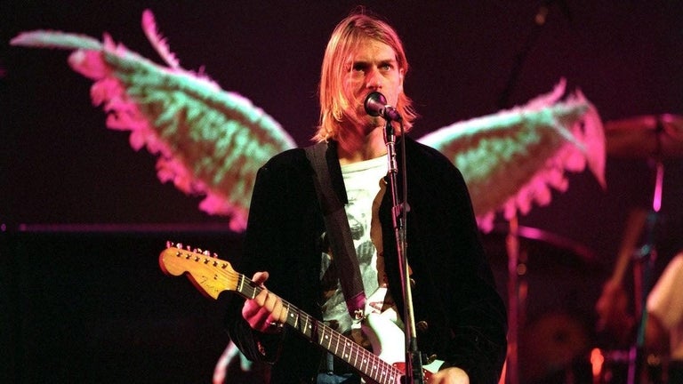 Nirvana's 'Nevermind' Baby Once Again Fights to Have Image Censored on Album Cover