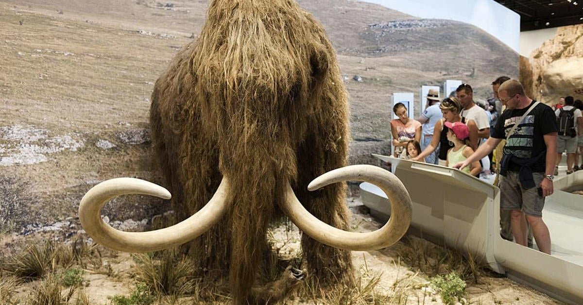 woolly-mammoth.jpg woolly-mammoth.jpg