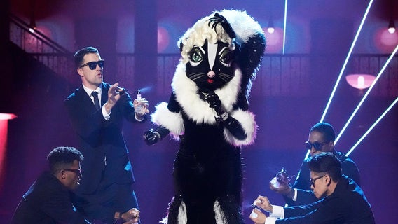 masked-singer-skunk
