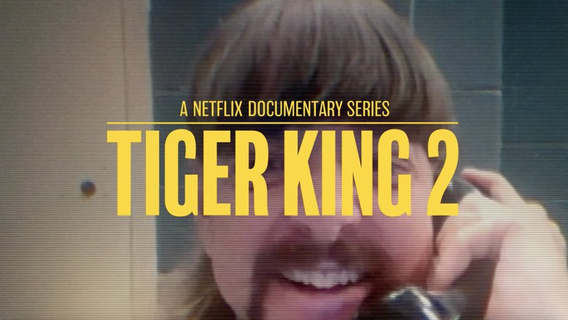 tiger-king-2