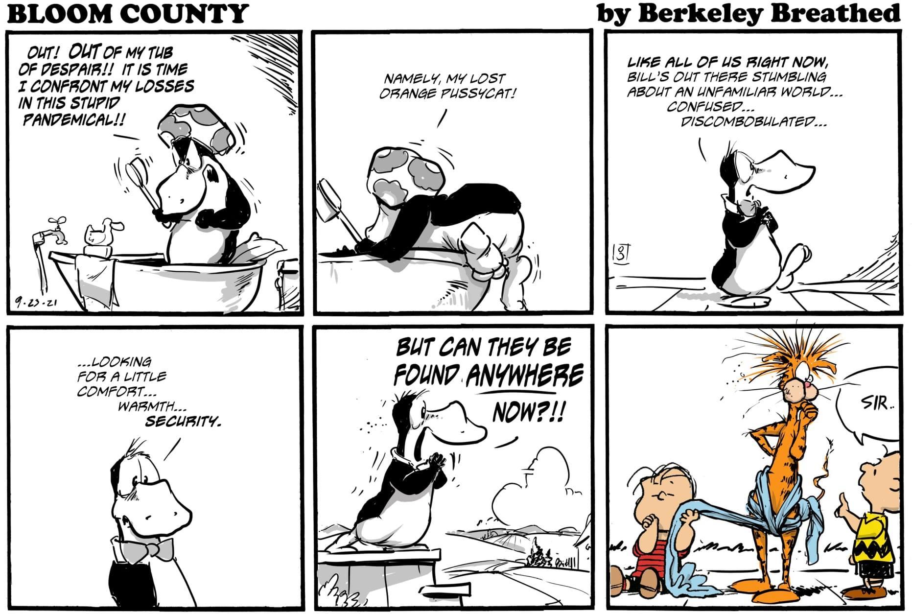 charlie-brown-in-bloom-county.jpg charlie-brown-in-bloom-county.jpg
