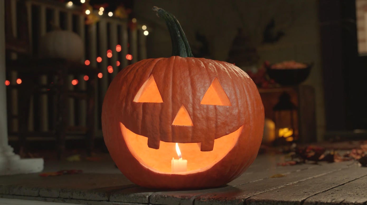 Shudder Unveils AllNew "Night of the Ghoul Log" Atmospheric Experience