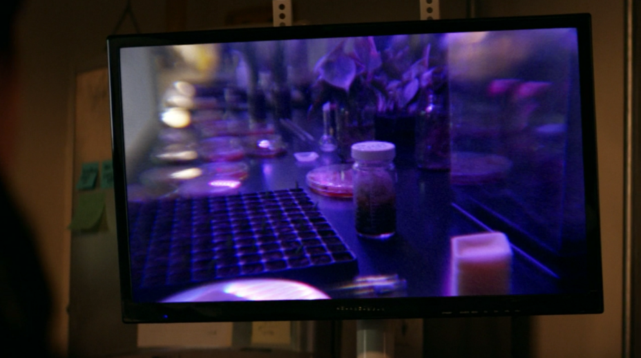 the-walking-dead-world-beyond-fungus.png the-walking-dead-world-beyond-fungus.png