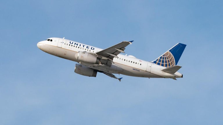Missing United Airlines Executive Identified After Human Remains Discovered in Forest