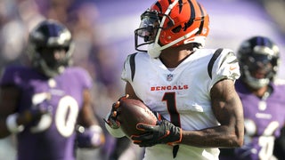 What are you doing?!' Fan tries to climb into Ravens' radio booth during  Sunday's game vs. Bengals – The Denver Post