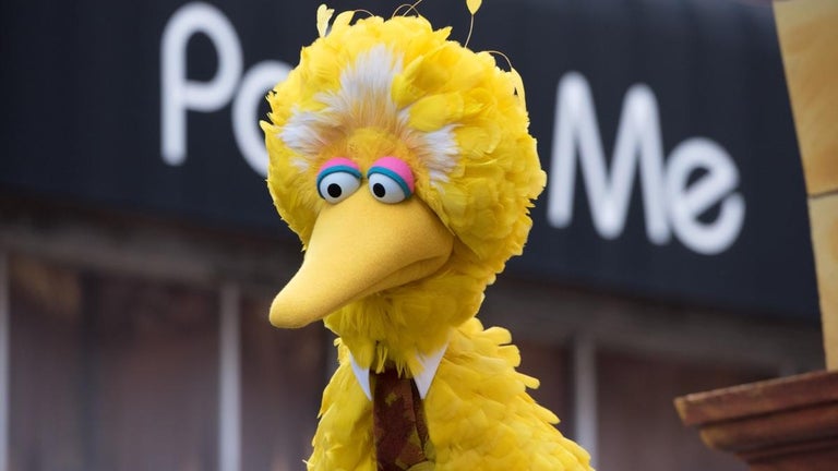 'Sesame Street' Staple Big Bird Reveals He's COVID-19 Vaccinated