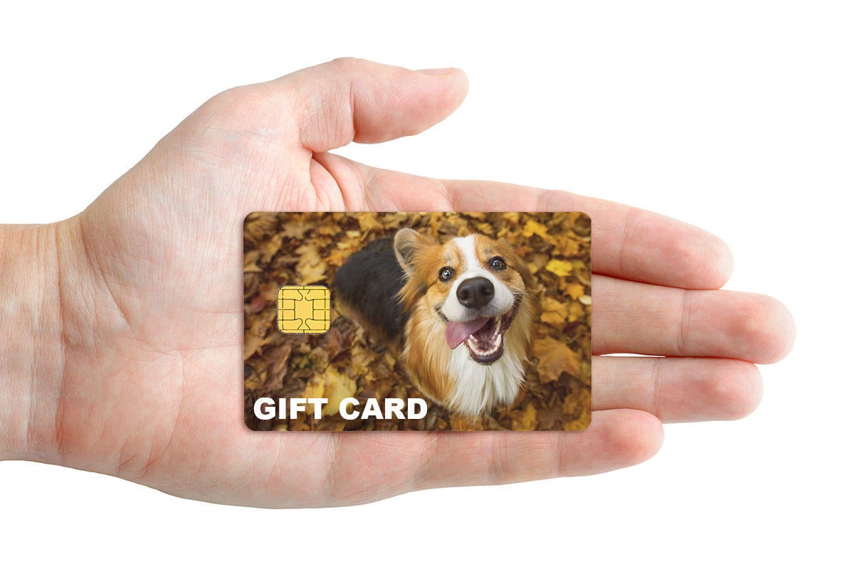 custom-card-visa-gift.jpg custom-card-visa-gift.jpg