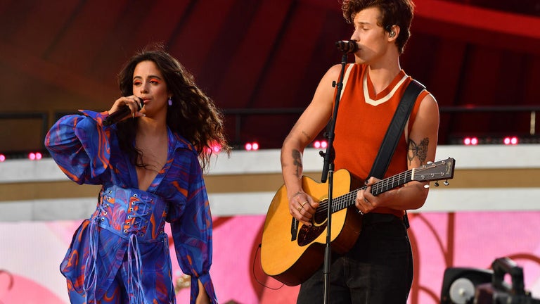 Camila Cabello and Shawn Mendes Reason for Breakup Reportedly Revealed