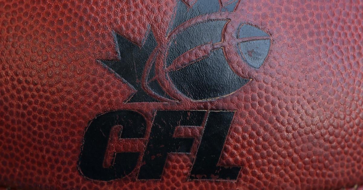 cfl-toronto-argos-players-fight-hamiltom-tiger-cats-fans-spit-beer