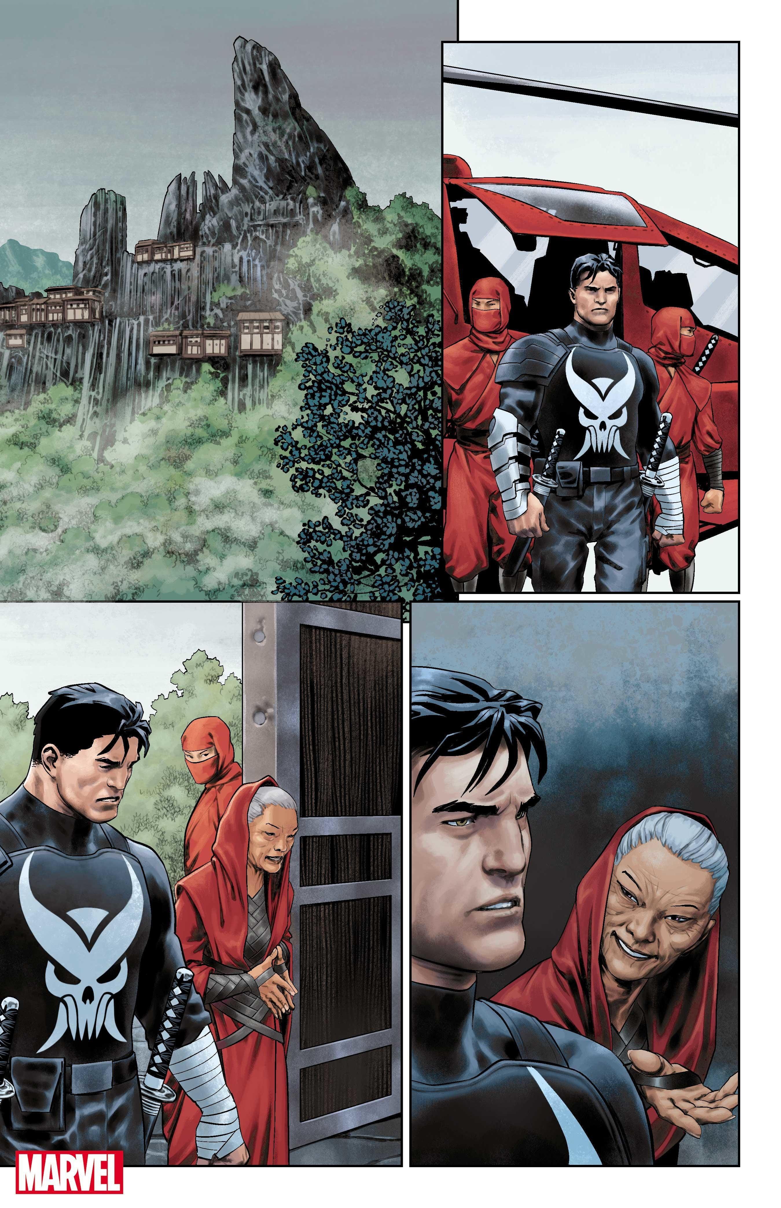 Sixteen Things You Did Not Know About The Punisher