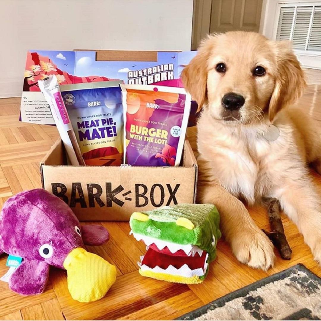 bark box bark box