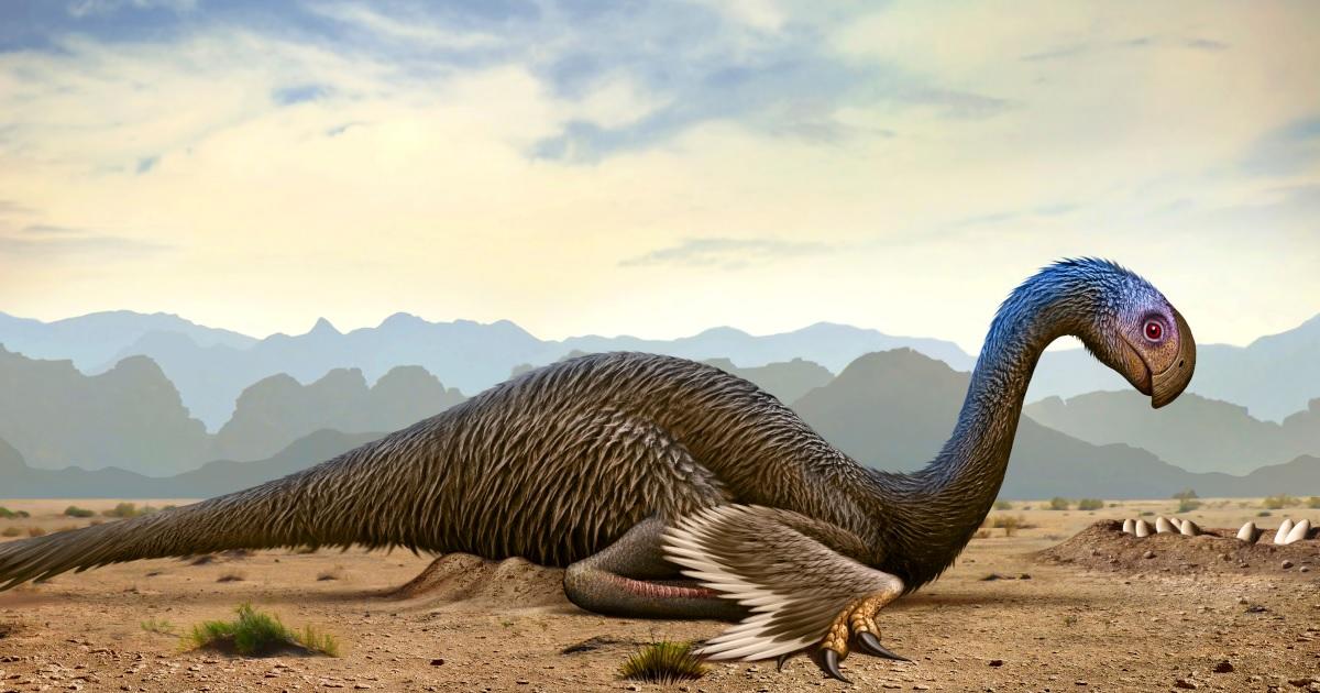 oviraptorosaur-getty-images