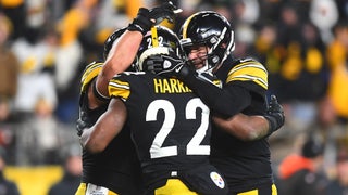 Steelers still eyeing playoffs as Browns visit in finale