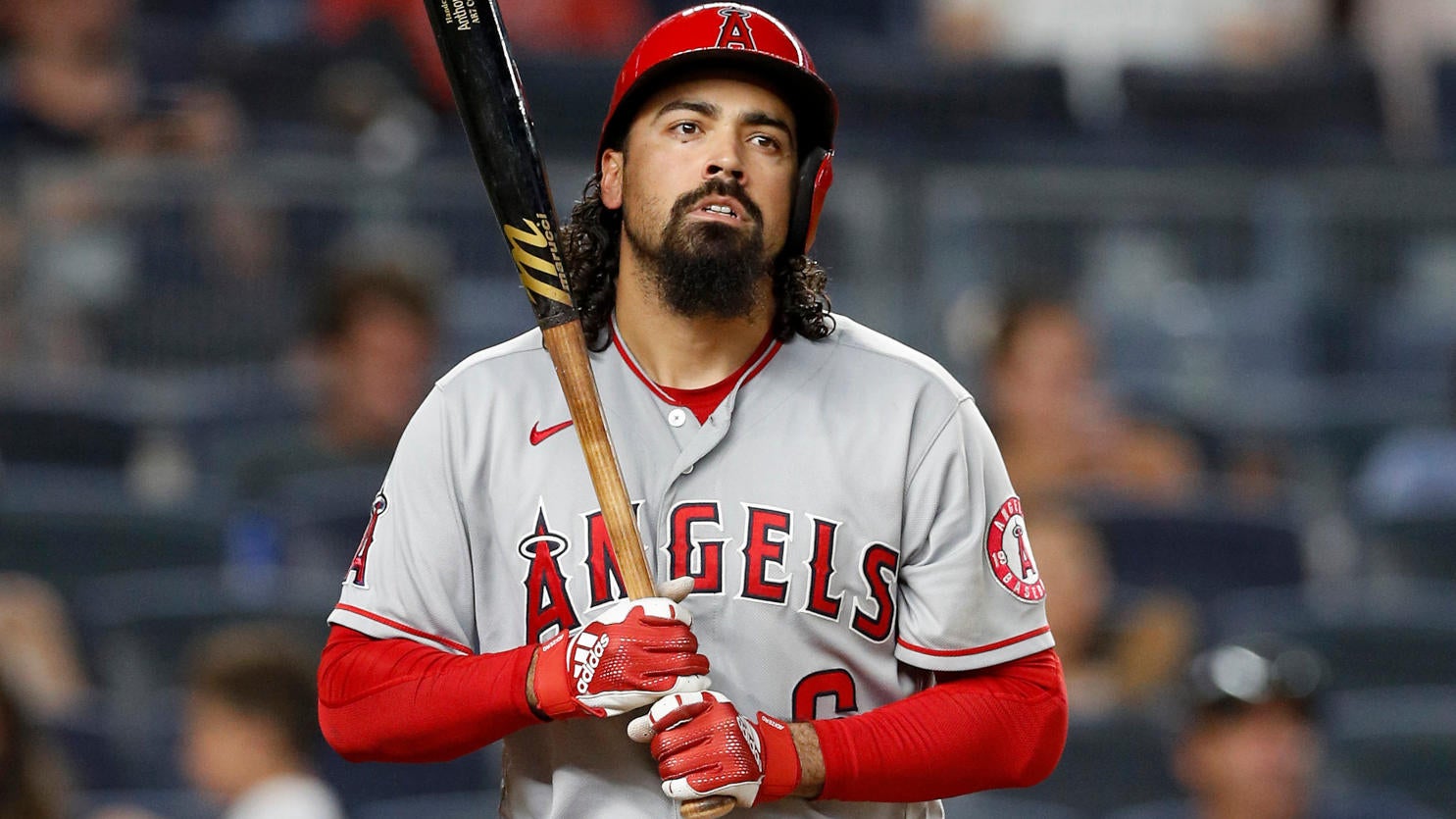 anthony-rendon.jpg