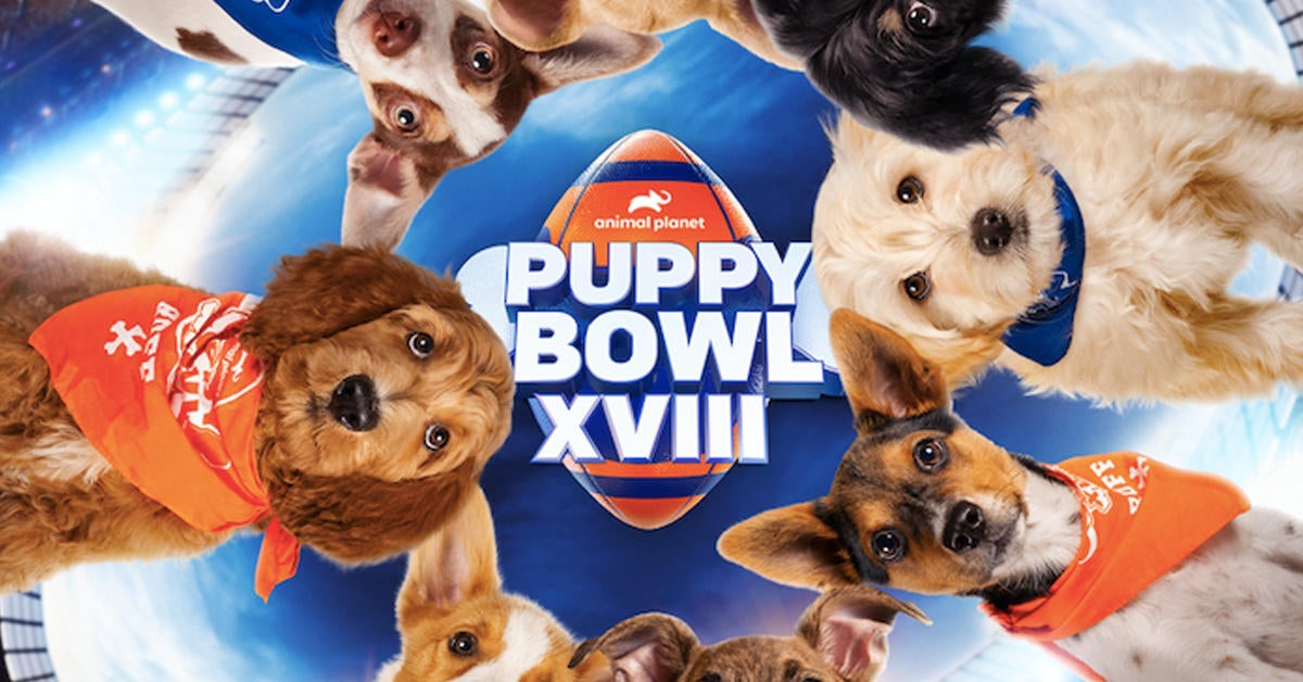 puppy-bowl-2022-details-premiere-streaming-date-time
