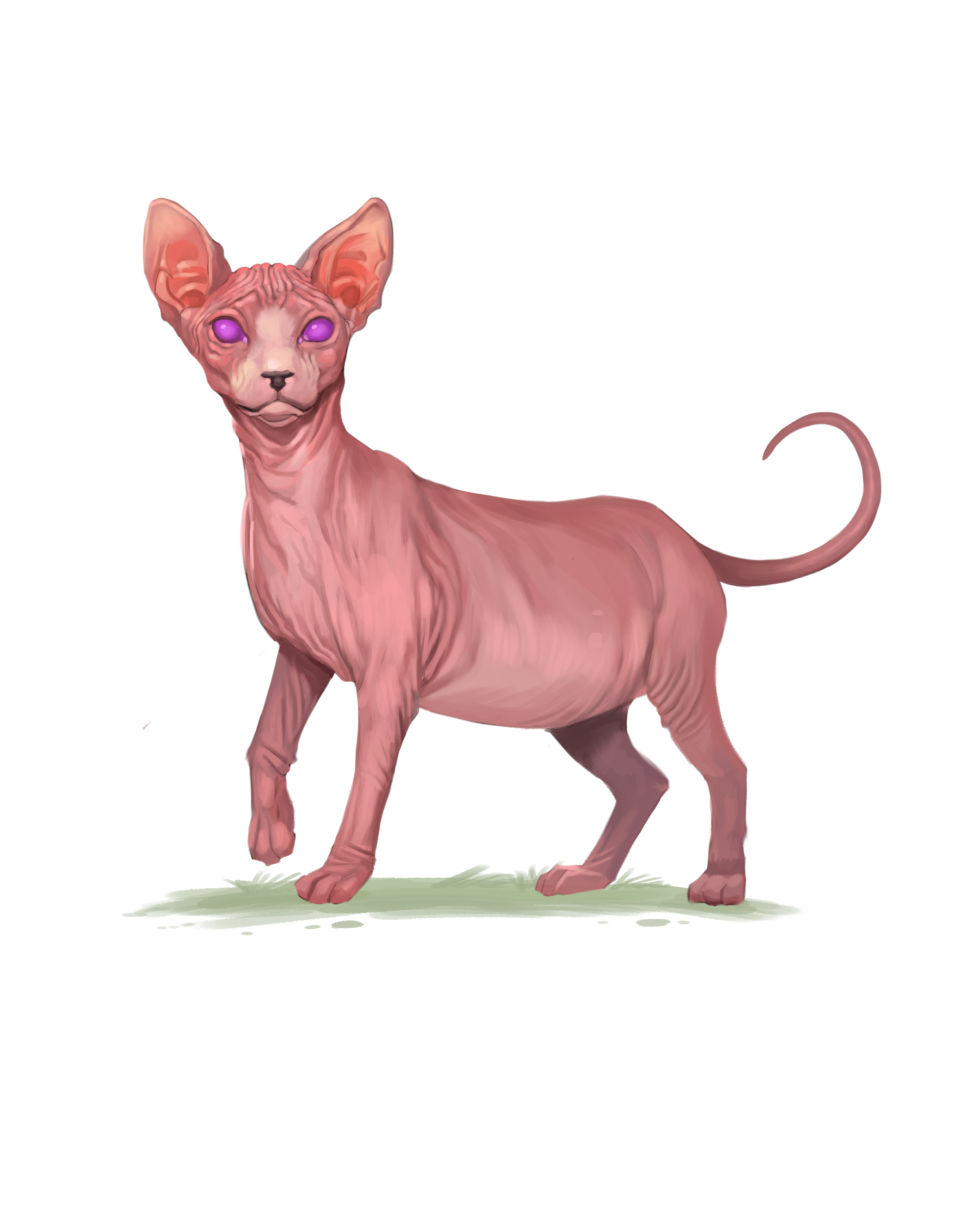 catterball.png catterball.png
