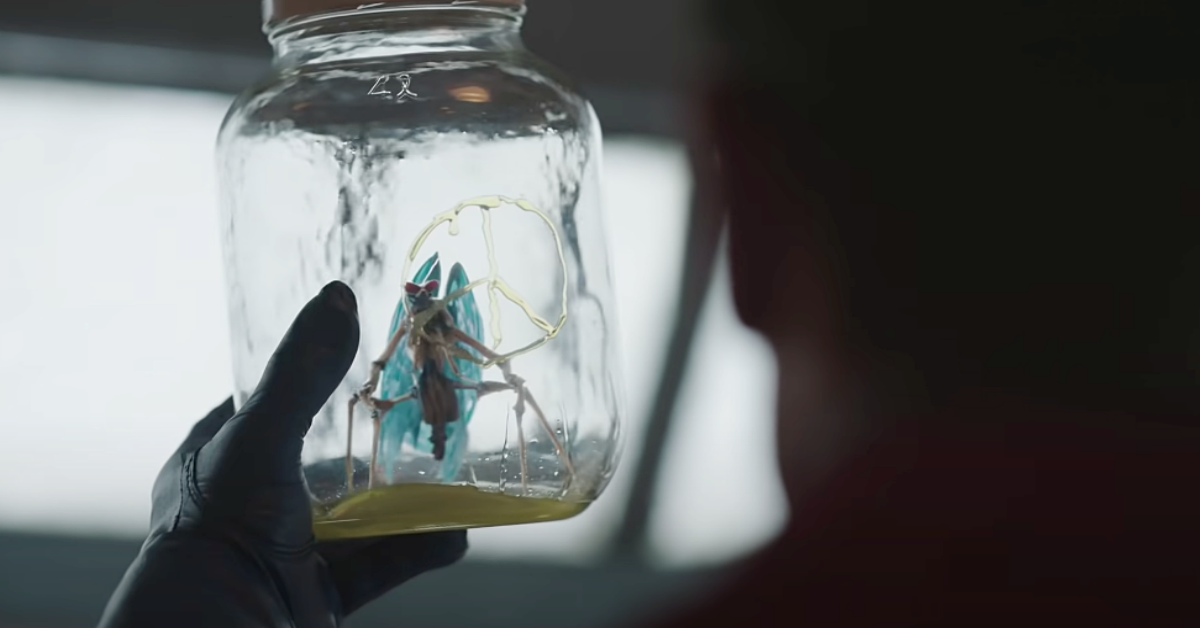 Peacemaker Butterfly Designer Shares Closer Look at How the Aliens